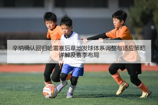辛纳确认回归哈雷赛后草地发球体系调整与适应策略详解及赛季布局