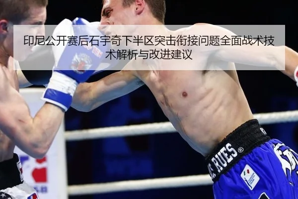 yin-ni-gong-kai-sai-hou-shi-yu-qi-xia-ban-qu-tu-ji-xian-jie-wen-ti-quan-mian-zhan-shu-ji-shu-jie-xi-yu-gai-jin-jian-yi-2-310.jpg